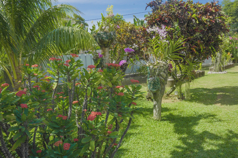 Others 5, Villa Elodia by Le Duc Hotel & Villas
