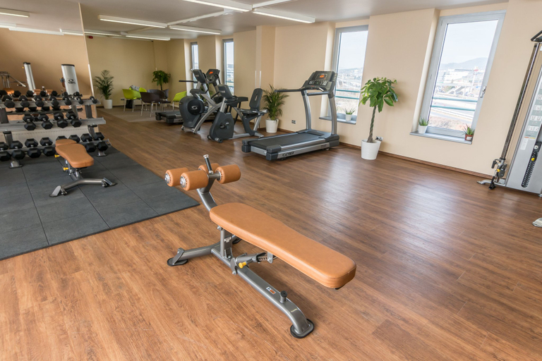 Others 2, Holiday Inn BUDAPEST - BUDA�RS by IHG, Érd