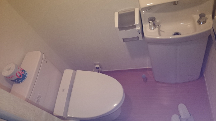 Bathroom 4, Nikko Hoshinoyado, Nikkō