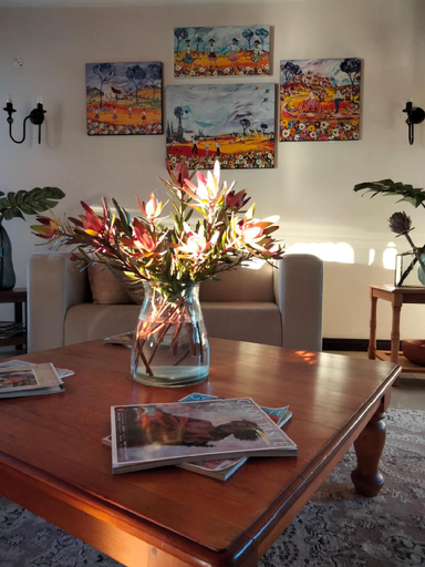 Public Area 4, CANA Vineyard Guesthouse, Cape Winelands