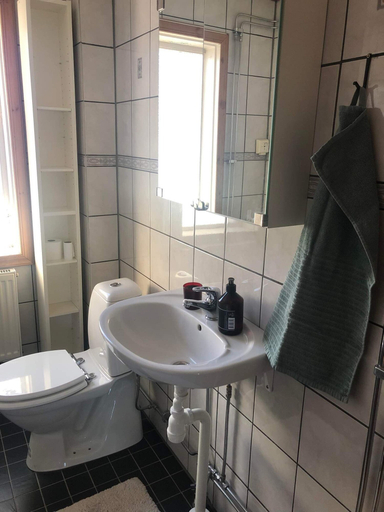 Bathroom, Lägenhet i Vansbro Centrum, Vansbro