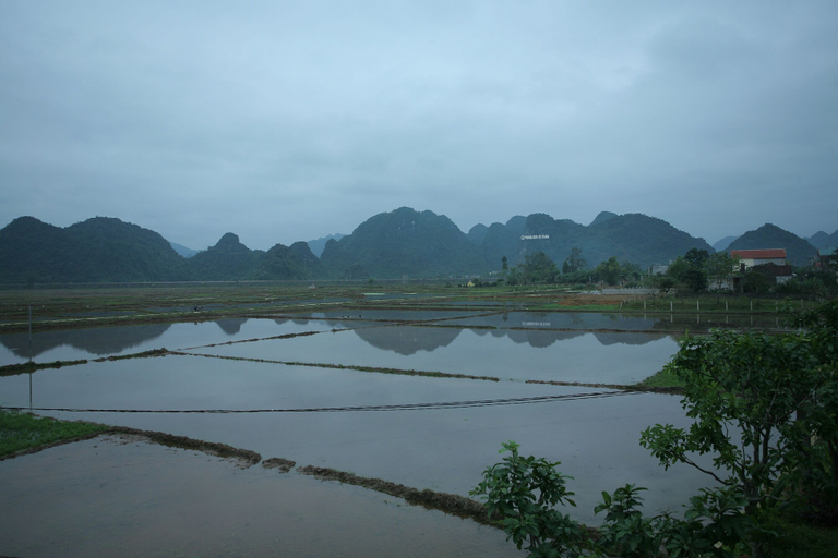 Others 5, Hung Phat Bungalow, Bố Trạch