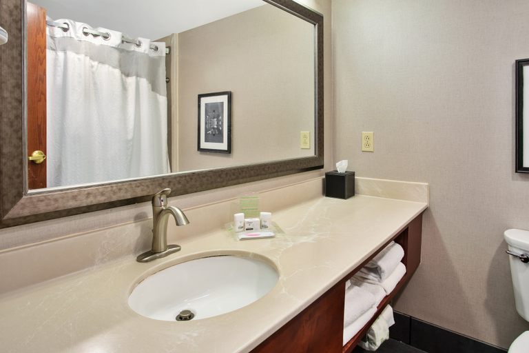 Bathroom 2, Holiday Inn UNIVERSITY PLAZA-BOWLING GREEN by IHG, Warren