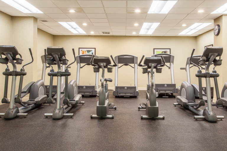 Others 2, Holiday Inn TORONTO INTERNATIONAL AIRPORT by IHG, Toronto