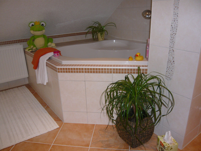 Bathroom 4, Pummpälzhof, Wartburgkreis