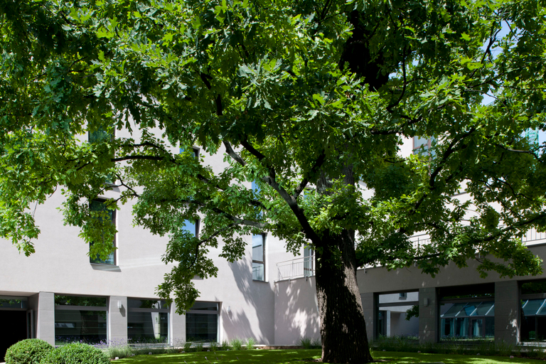 Exterior & Views 1, Holiday Inn TRNAVA by IHG, Trnava