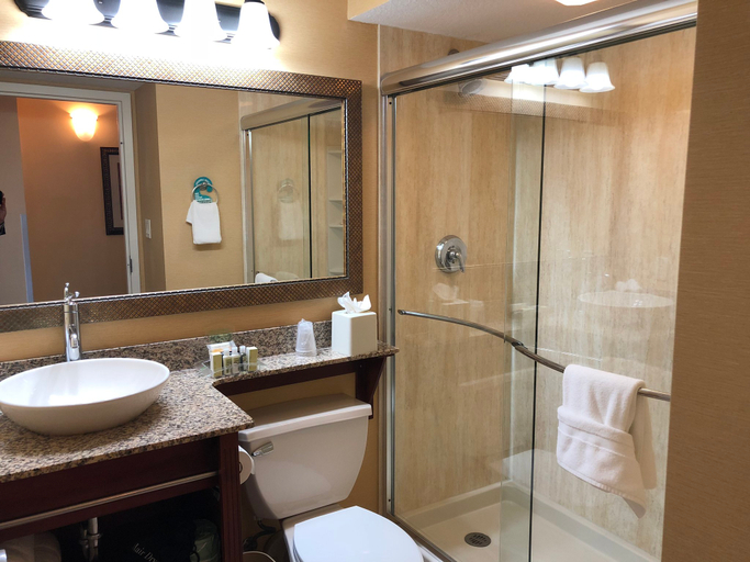 Bathroom 5, Holiday Inn & Suites CLEARWATER BEACH by IHG, Pinellas