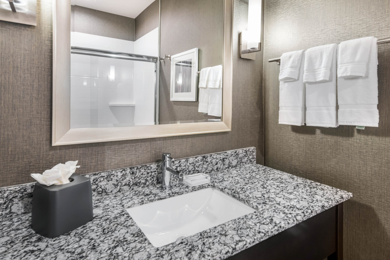 Bathroom 3, Holiday Inn & Suites SILICON VALLEY - MILPITAS by IHG, Santa Clara