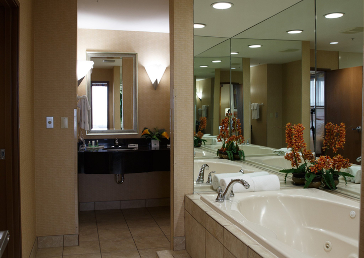 Bathroom 2, Holiday Inn BATTLE CREEK by IHG, Calhoun