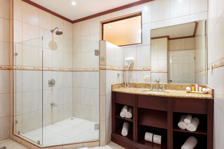 Bathroom 5, Hotel Magic Mountain SPA & Conference center, San Carlos