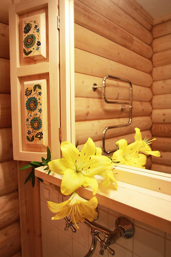 Bathroom 3, Shishki na Lampushke - Russkaya Derevnya, Priozerskiy rayon