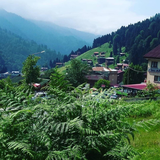 Mountain view, Lorant Dag Evleri, Ardeşen