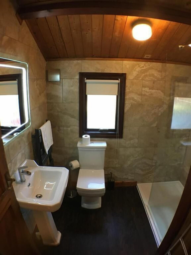 Bathroom 4, Snowdrop 9 Hot Tub, Carmarthenshire