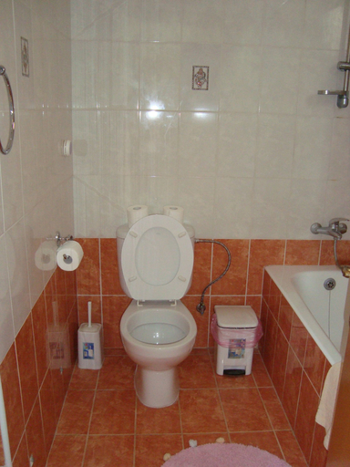 Bathroom 4, Socrates Apartments