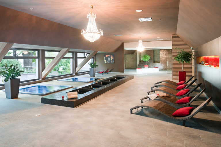 Others 2, Holiday Inn TRNAVA by IHG, Trnava