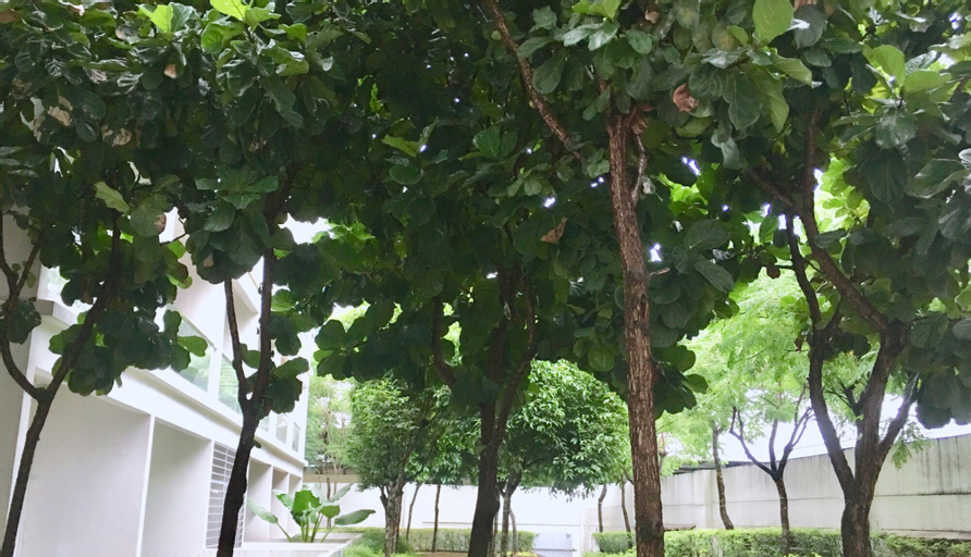 Scenery