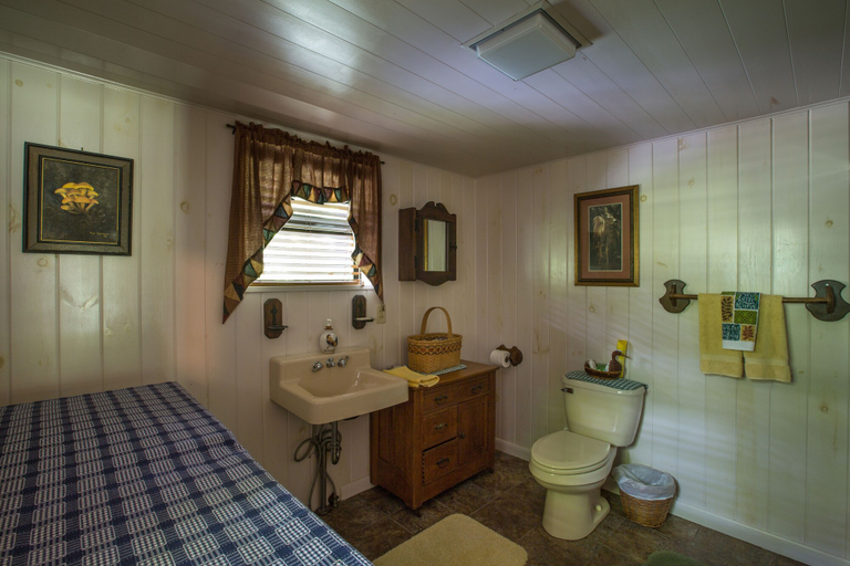 Bathroom, Lake Santeetlah Log Cabin, Graham