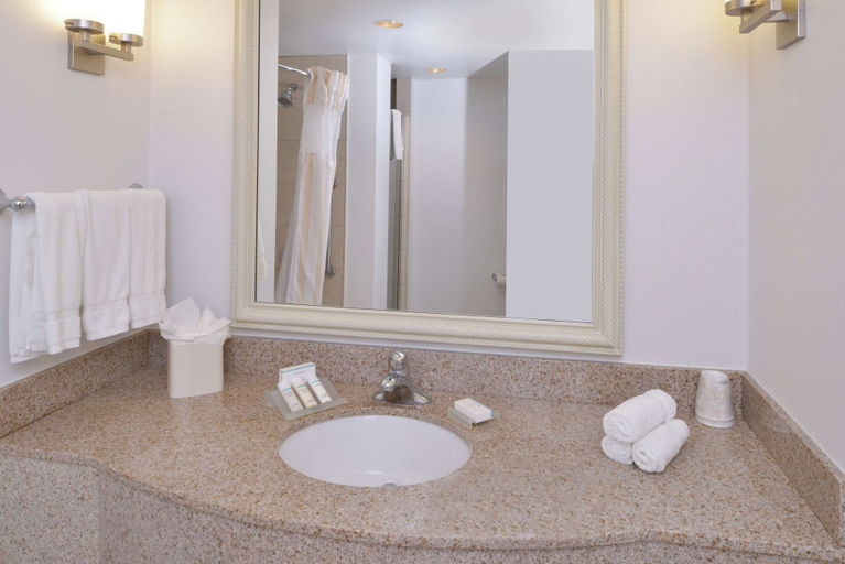 Bathroom 4, Hilton Garden Inn Yuma Pivot Point, Yuma