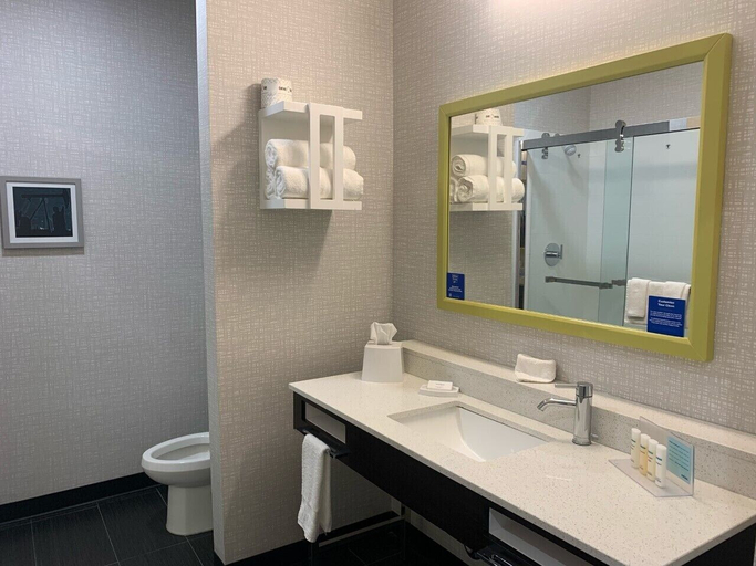 Bathroom 4, Hampton Inn Monahans, Ward