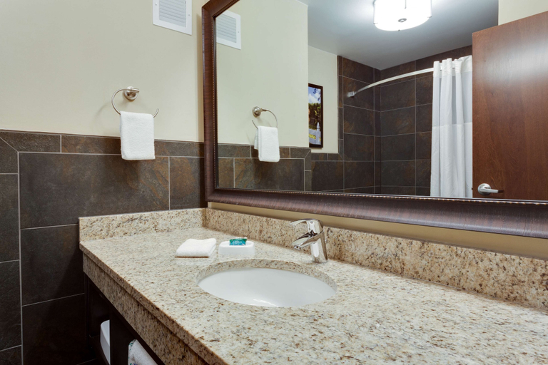 Bathroom 4, Drury Inn & Suites Dallas Frisco, Collin