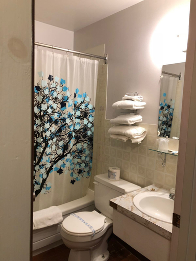 Bathroom 4, Spanish River Inn, Algoma