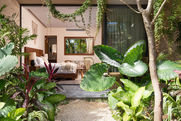 Exterior & Views 2, Mistiq Tulum, Cozumel