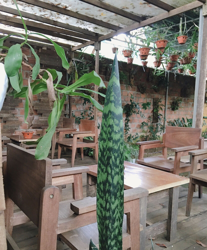 Food & Drinks 4, Hani House, Pleiku