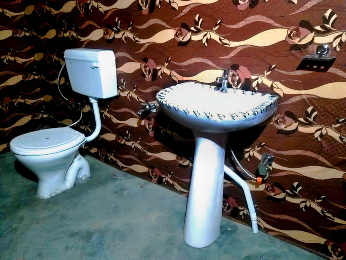Bathroom, Blue Water Cottages, Leh