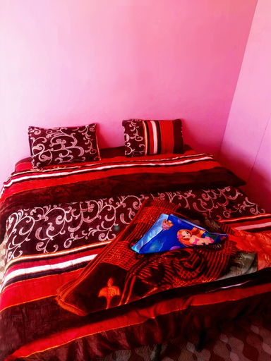 Bedroom 2, Blue Water Cottages, Leh