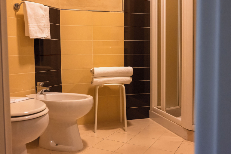Bathroom 3, Hotel Terme Pellegrini, Pistoia