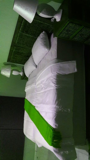 Others 5, Godmill City Guesthouse, Dr Ruth Segomotsi Mompati