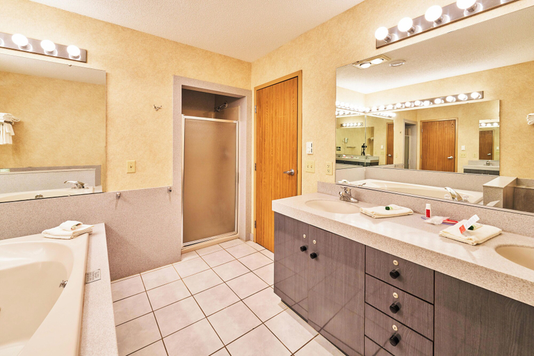 Bathroom 4, Econo Lodge Maquoketa, Jackson