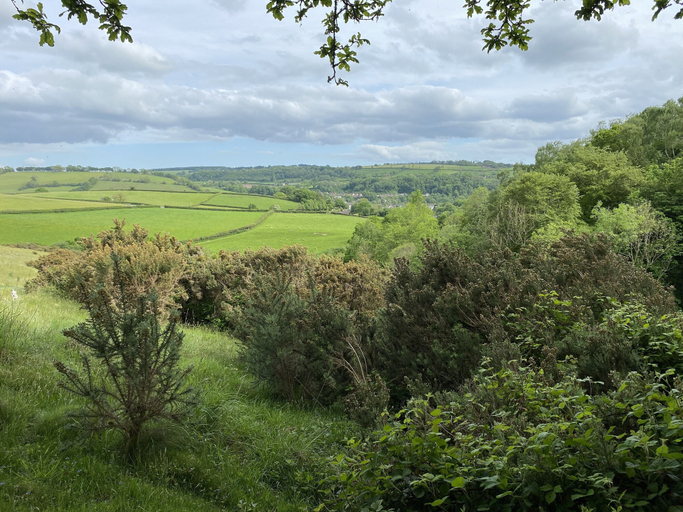 Others 4, Six on Castle, Devon