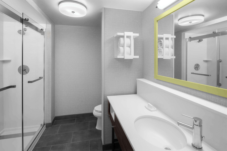 Bathroom 3, Hampton Inn & Suites Grand Rapids-Airport 28th St, Kent