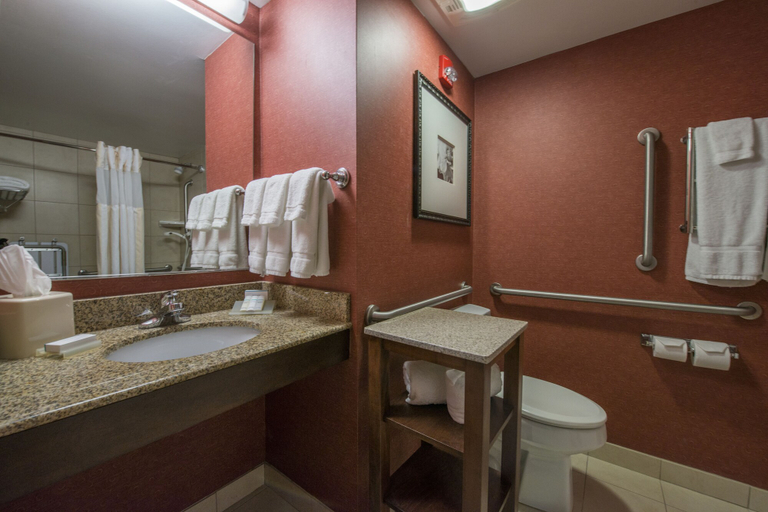 Bathroom 5, Hilton Garden Inn Tupelo, Lee