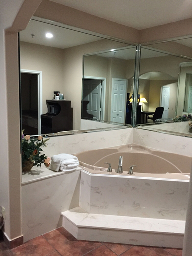 Bathroom 3, Scottish Inn & Suites, Houston