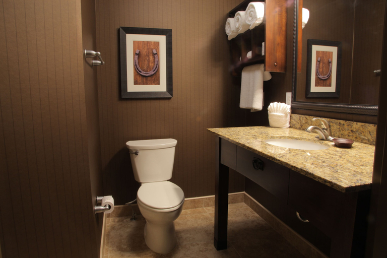 Bathroom 3, Teddy's Residential Suites New Town, Mountrail