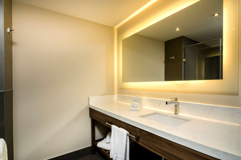 Bathroom 5, Hilton Garden Inn Aguascalientes, Jesús María