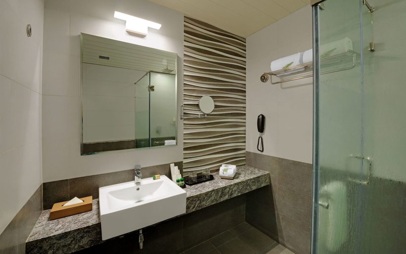 Bathroom 5, The Fern Residency Somnath, Gir Somnath