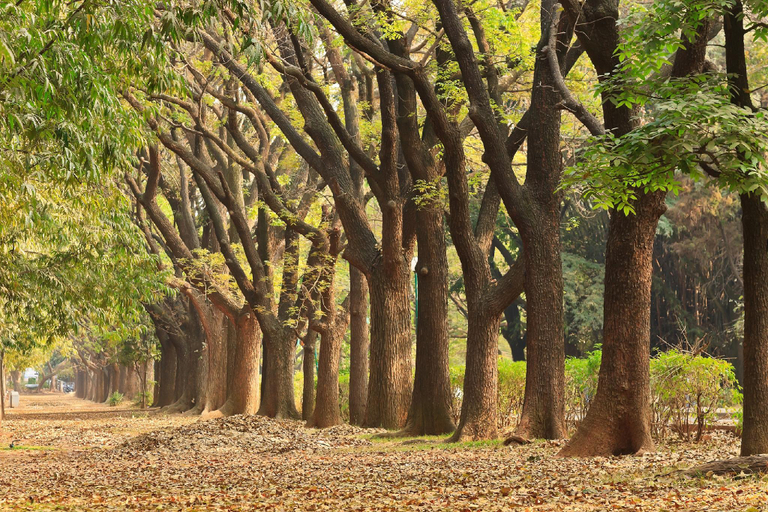 Nearby Landmark 3, FabHotel Magaji Comfort Inn - Nr. Gandhi Nagar, Bangalore