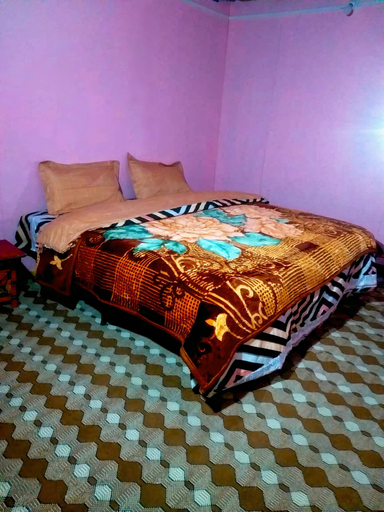 Bedroom 3, Blue Water Cottages, Leh