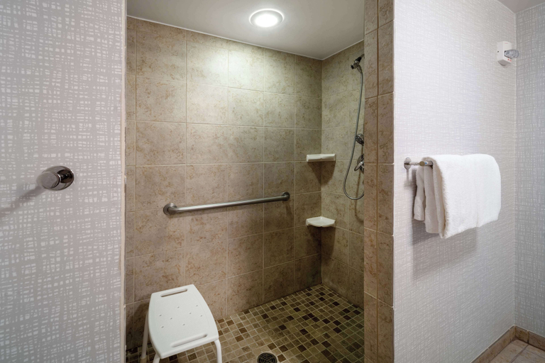 Bathroom 4, Hampton Inn & Suites Salida, Chaffee
