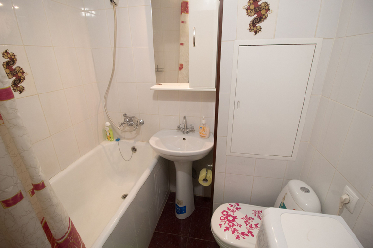 Bathroom, Flats of Moscow Apartment Domodedovskaya, Southern