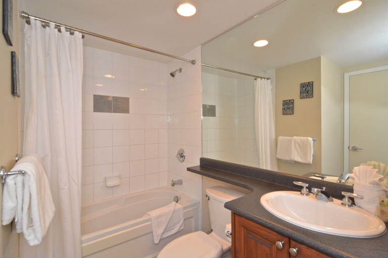 Bathroom, Whistler Blackcomb VR at Tyndall Stone, Squamish-Lillooet