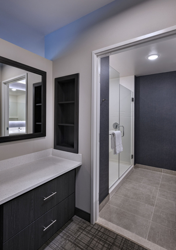 Bathroom 4, Residence Inn by Marriott St. Paul Downtown, Ramsey