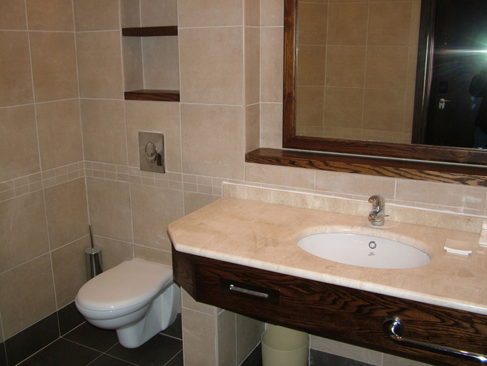 Bathroom 5, Dead Sea Spa Hotel, Madaba