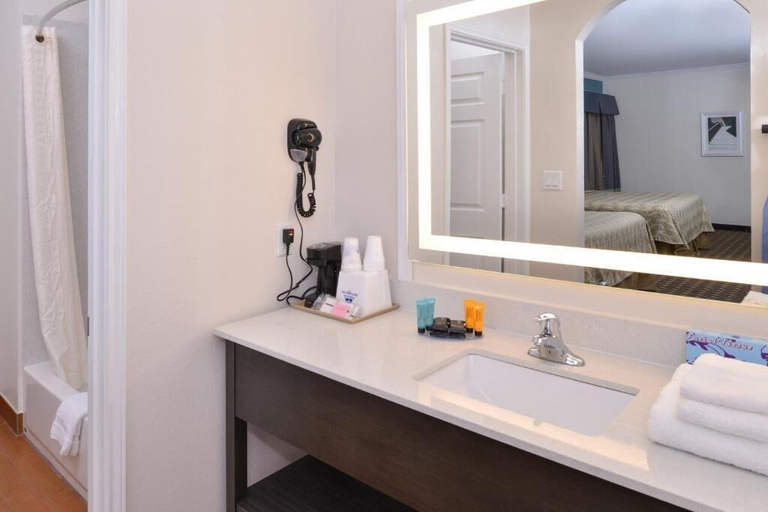 Bathroom 3, Regency Inn and Suites, Houston