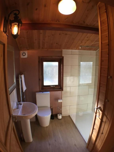 Bathroom 3, Snowdrop 13 Hot Tub, Carmarthenshire