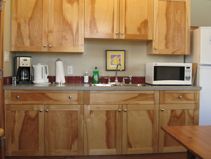 Others 4, Mountain Town Properties Aladar's Guest Cabin, Kootenay Boundary