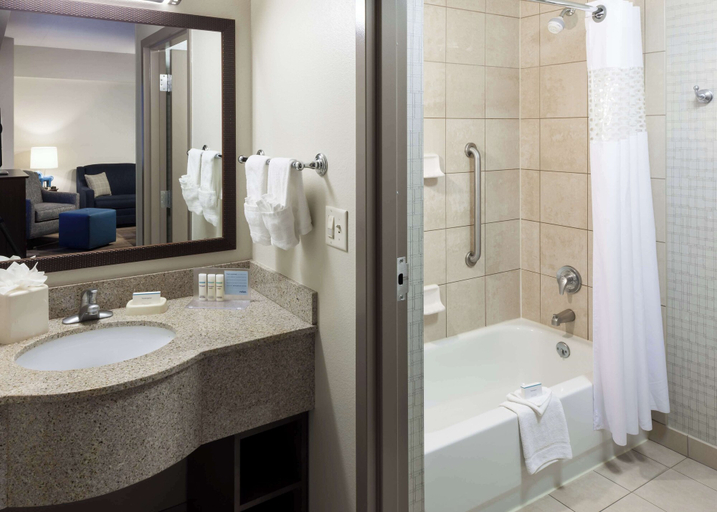 Bathroom 4, Hampton Inn & Suites Boise-Downtown, Ada